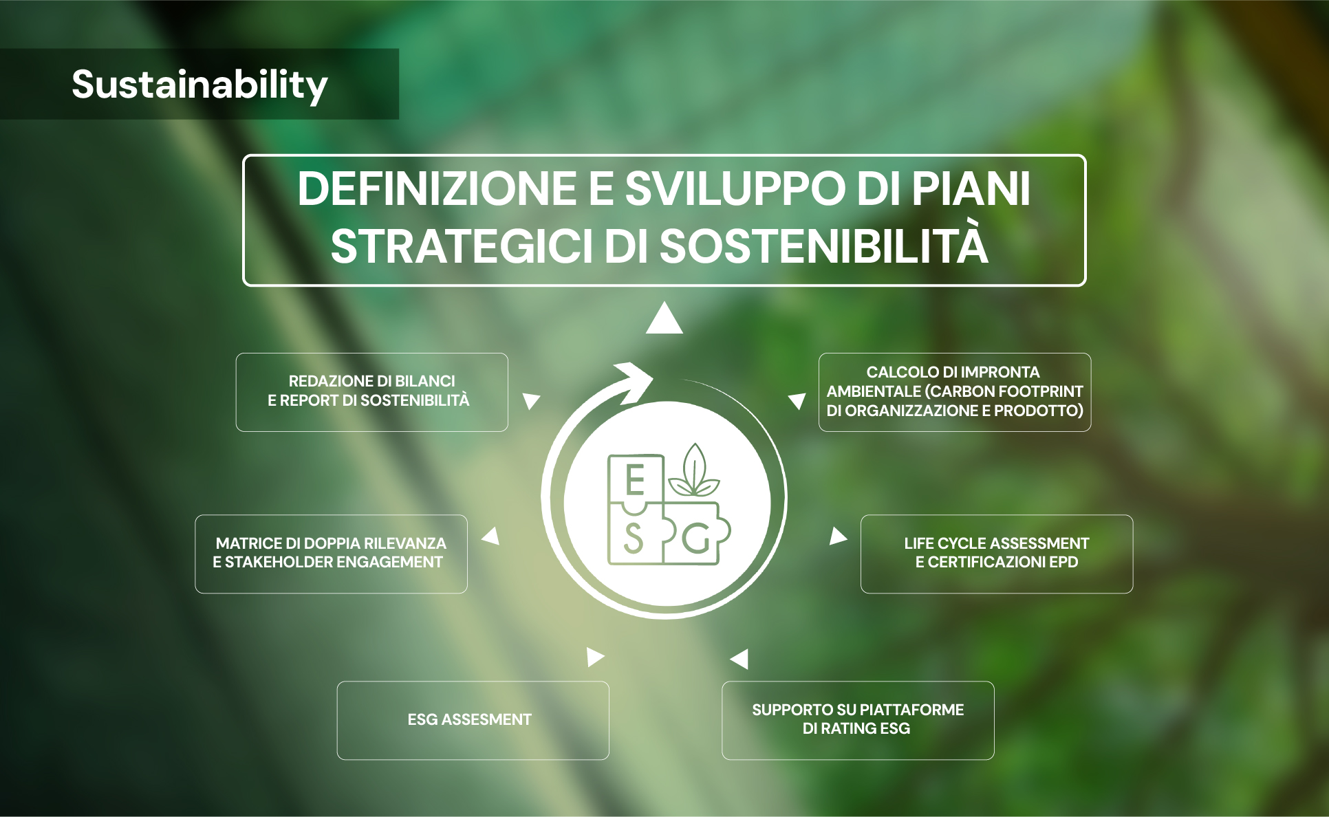 Definizione e sviluppo di piani strategici di sostenibilitÃ 